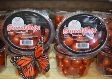 Sweetpops; a new bite sized tomato from Red Sun Farms.